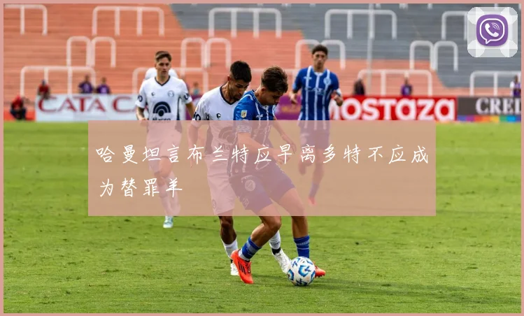 哈曼坦言布兰特应早离多特不应成为替罪羊